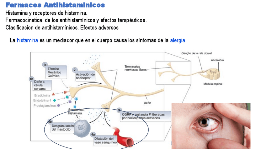 Miniatura del documento antihis.24.pdf