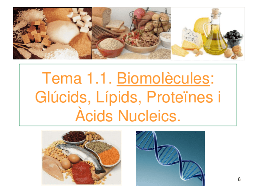 Miniatura del documento Tema-1.Biomolecules2024-25.pdf