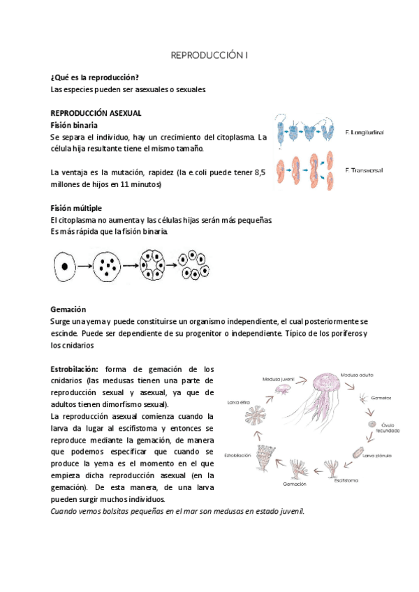 Miniatura del documento Reproduccion-I.pdf