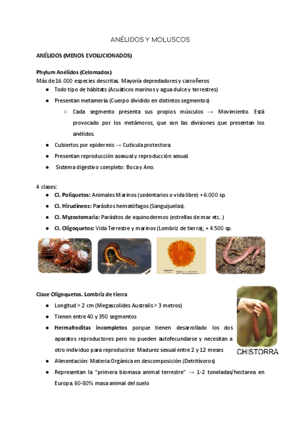 Miniatura del documento Anelidos-y-moluscos.pdf