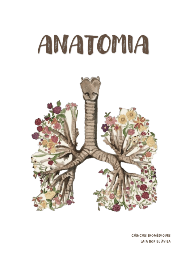 Miniatura del documento ANATOMIA-Laia-Bofill-Avila.pdf