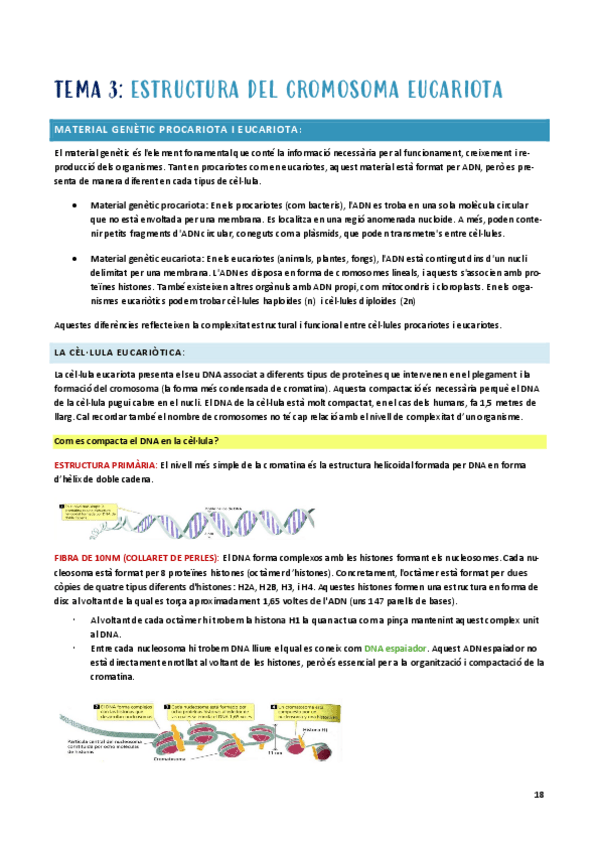 Miniatura del documento GM-1r-parcial-t-3.pdf