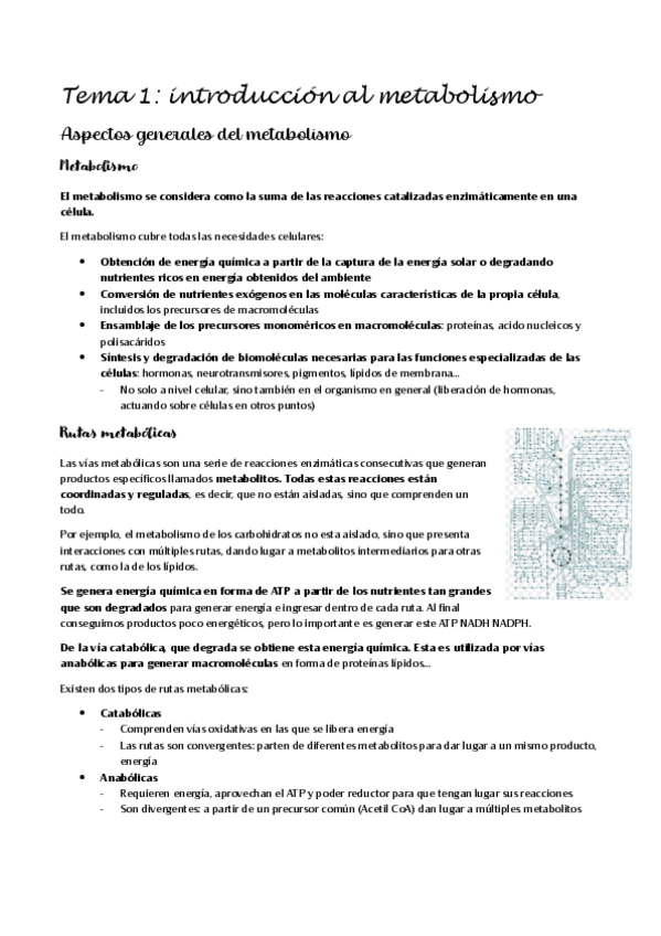 Miniatura del documento bioquimica-II-primer-parcial.pdf