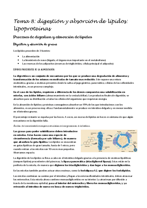 Miniatura del documento bioquimica-II-segundo-parcial.pdf