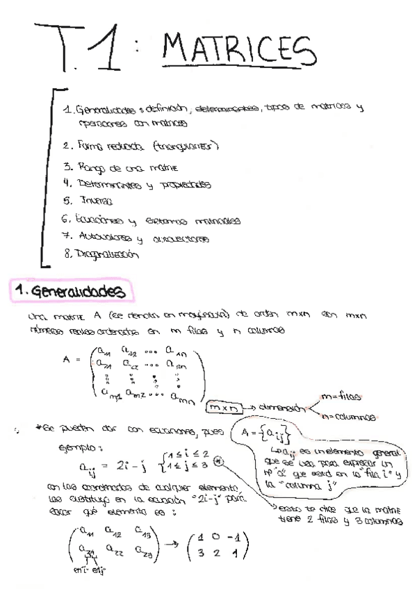 Miniatura del documento t.1 matrices.pdf