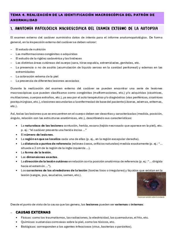 Miniatura del documento TEMA-4.pdf