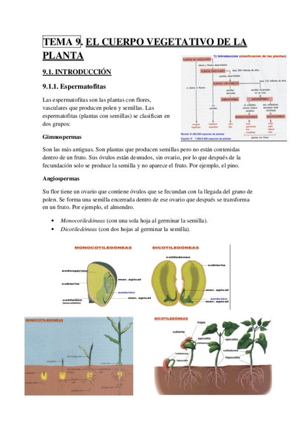 Miniatura del documento TEMA 9.pdf