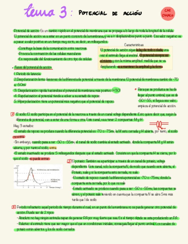 Miniatura del documento 3.-potencial-de-accion.pdf