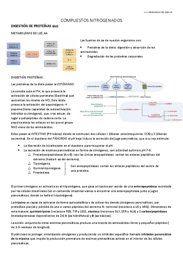 Miniatura del documento compuestos-nitrogenados.pdf