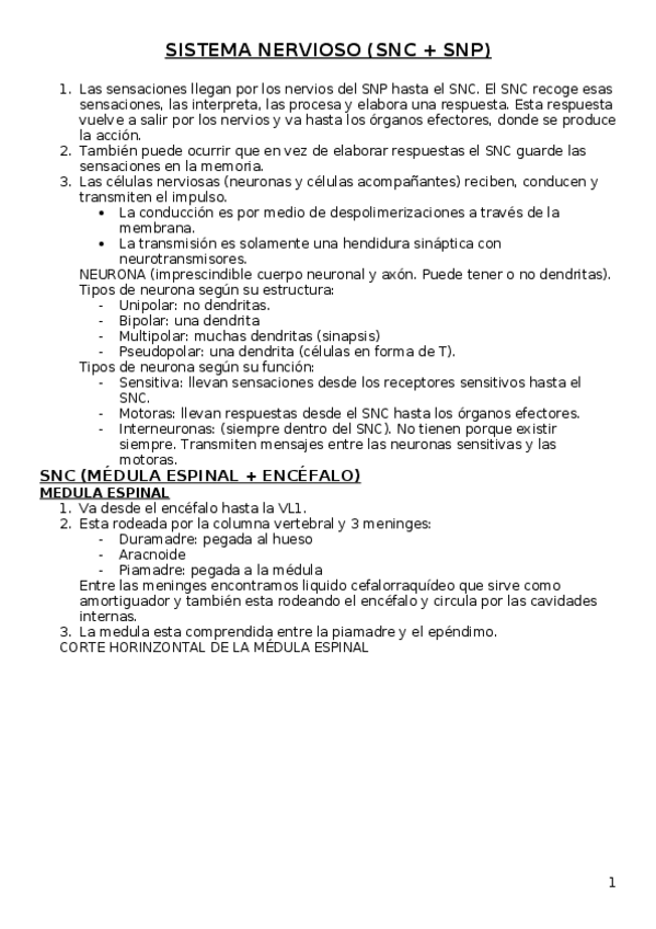 Miniatura del documento SISTEMA NERVIOSO.docx