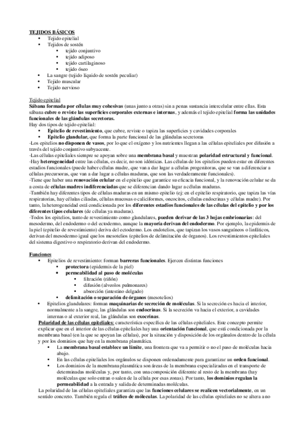 Miniatura del documento TEJIDOS BÁSICOS.docx