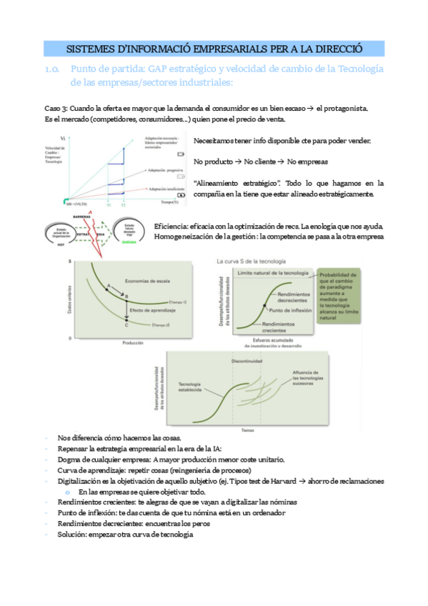 Miniatura del documento SISTEMES-DINFORMACIO.pdf