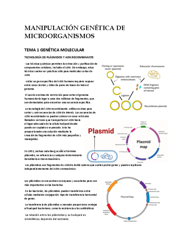 Miniatura del documento APUNTES-CON-EXAMEN-2425.pdf