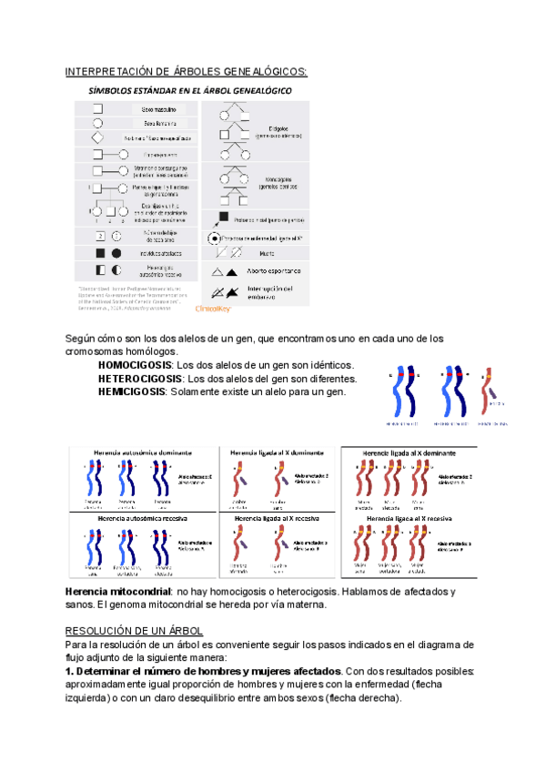 Miniatura del documento SEMINARIO-5-ENFERMADES-MONOGENICAS-Y-HERENCIA.pdf