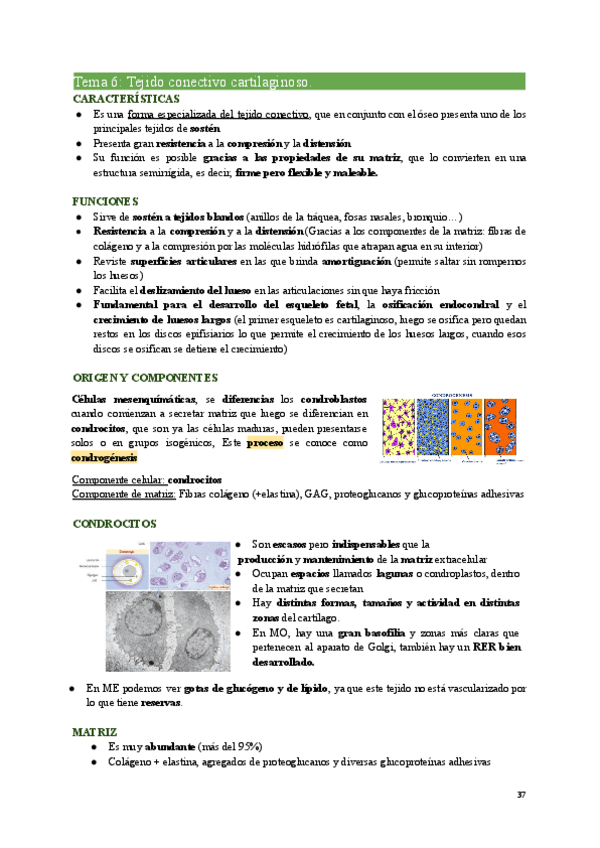 Miniatura del documento TIS-Tema6.pdf