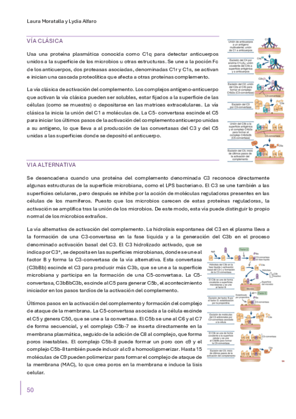 Miniatura del documento Inmunologia-51-100.pdf
