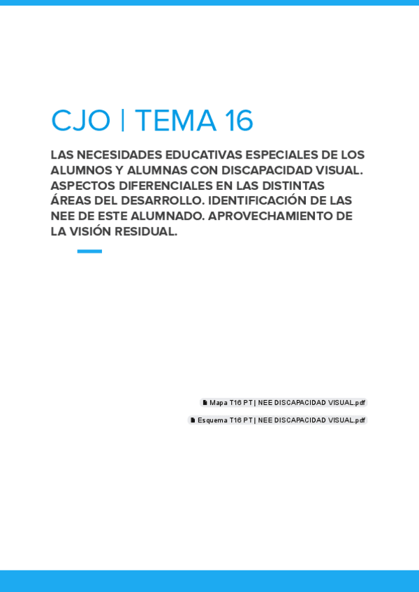 Miniatura del documento T16-PT--NEE-DISCAPACIDAD-VISUAL-1.pdf