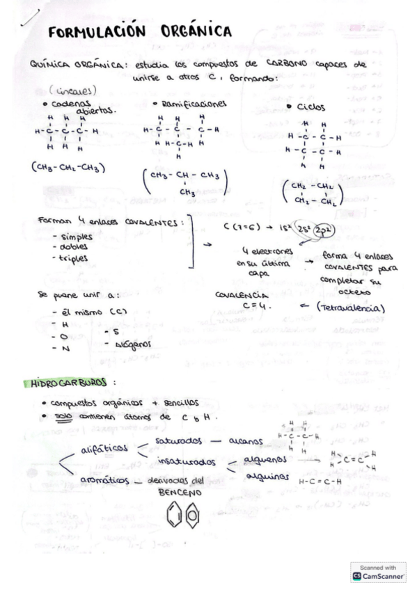 Miniatura del documento Formulacion-organica.pdf
