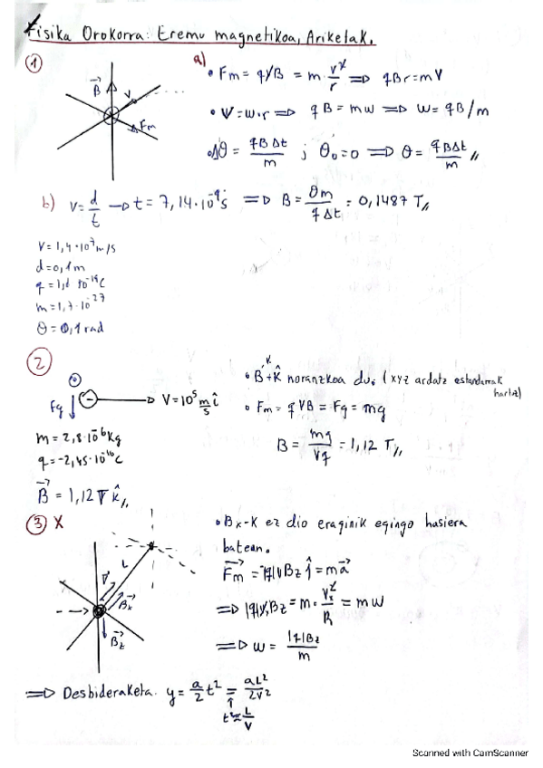 Miniatura del documento Eremu-magnetikoa-Ariketak.pdf
