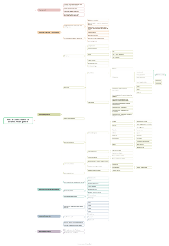 Miniatura del documento MapaMental.Patologia-de-la-voz.-Tema-2.-Clasificacion-de-las-disfonias.-Vision-general..pdf