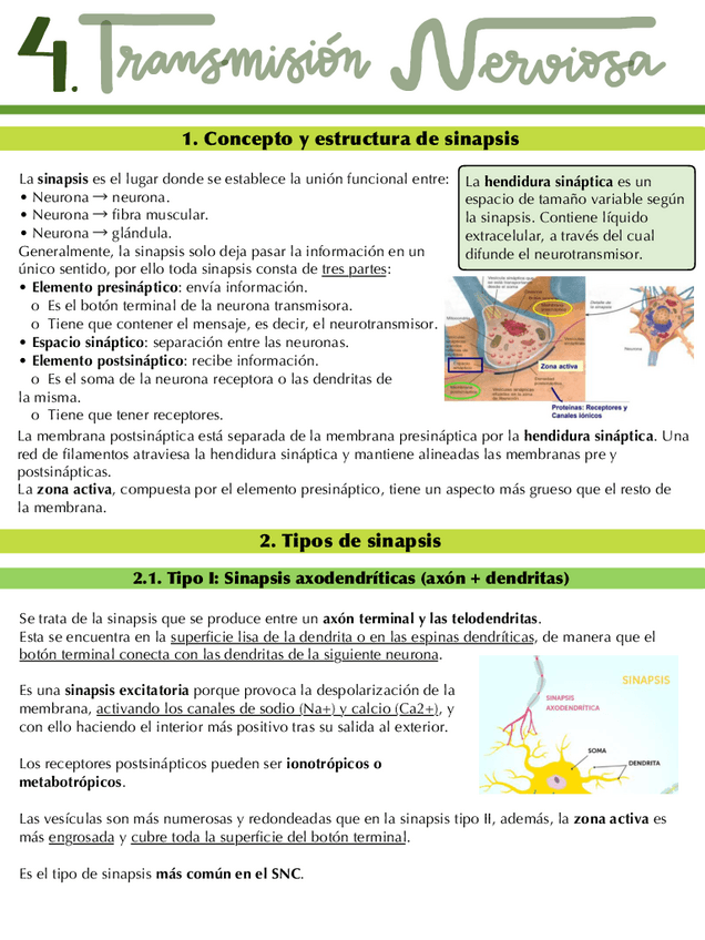 Miniatura del documento Temas-4-y-5.-Transmision-nerviosa-y-neurotransmitores.pdf