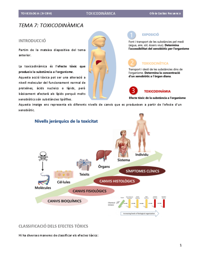 Miniatura del documento 7.-TOXICODINAMICA.pdf