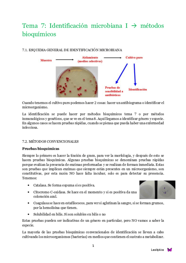 Miniatura del documento Tema 7 microbiología clínica.pdf