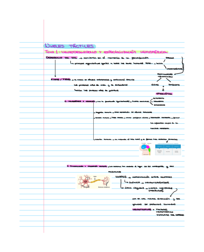 Miniatura del documento tema-1-Esquemas-niveles-tactiles.pdf