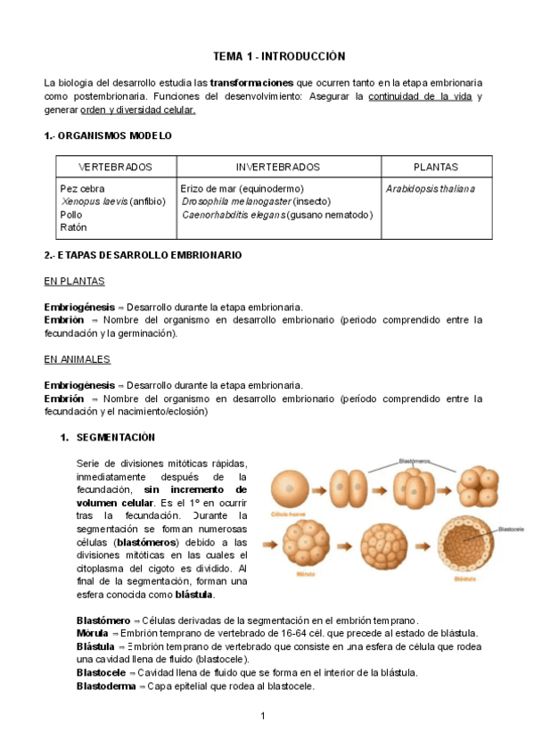 Miniatura del documento temas-1-9-biodes (1ª parcial).pdf
