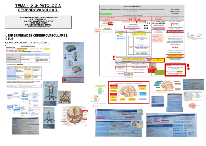Miniatura del documento 1-2-y-3.-PATOLOGIA-CEREBROVASCULAR.pdf