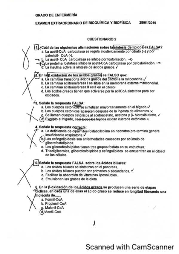 Miniatura del documento 2019-extraordinaria.pdf