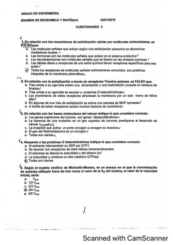 Miniatura del documento 2019-ordinaria.pdf