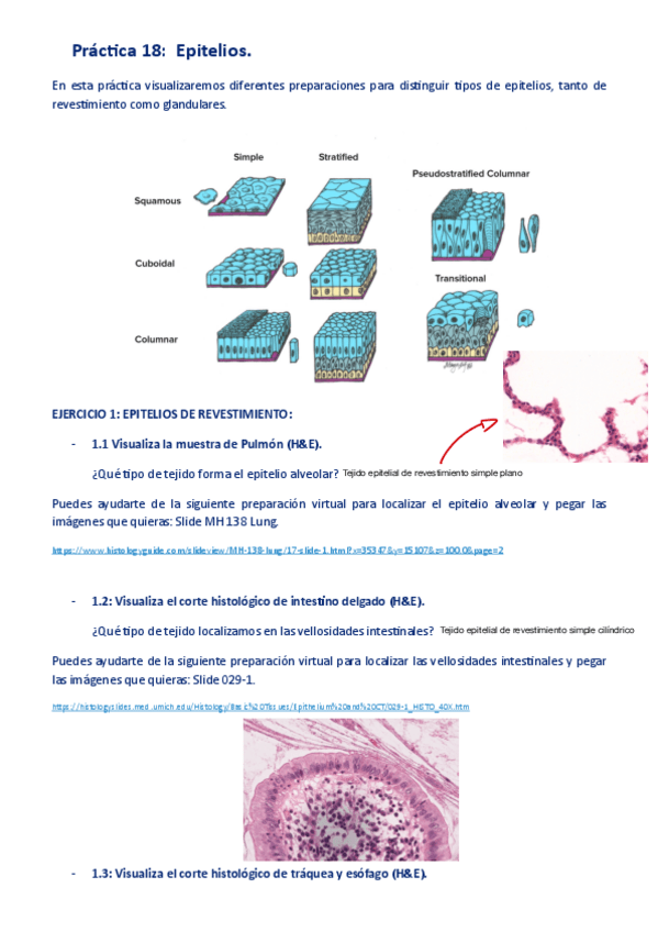 Miniatura del documento CUADERNO-DE-PRACTICAS-COMPLETO-BLOQUE-III.pdf