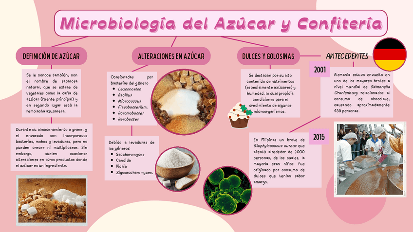 Miniatura del documento Microbiologia-del-azucar-y-productos-de-confiteria.pdf
