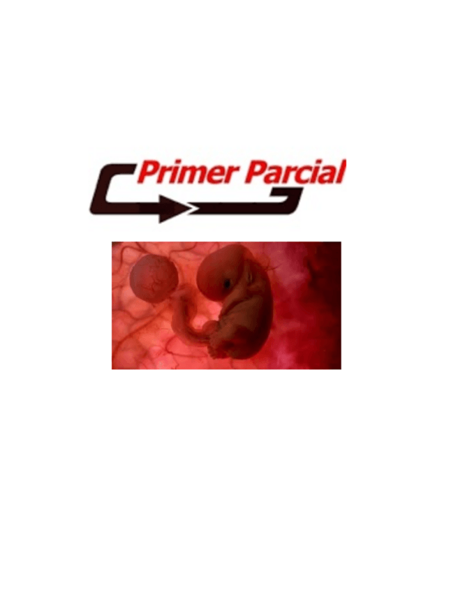 Miniatura del documento Primera-clase-embriologia-apuntes-de-clase-2024.pdf