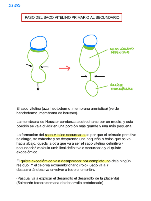 Miniatura del documento Tema-8-desarrollo-de-la-placenta-embriologia-apuntes-de-clase-2024.pdf
