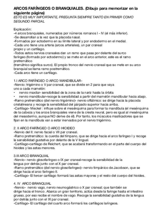 Miniatura del documento Arcos-faringeos-e-embriologia-2024.pdf