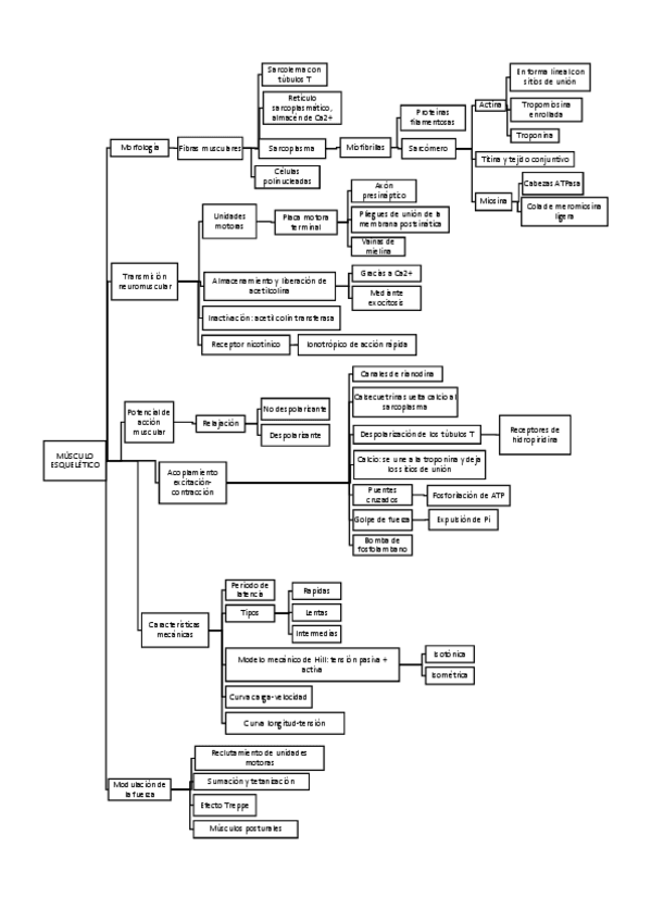 Miniatura del documento ESQUEMAS FISIOLOGIA MUSCULAR.pdf