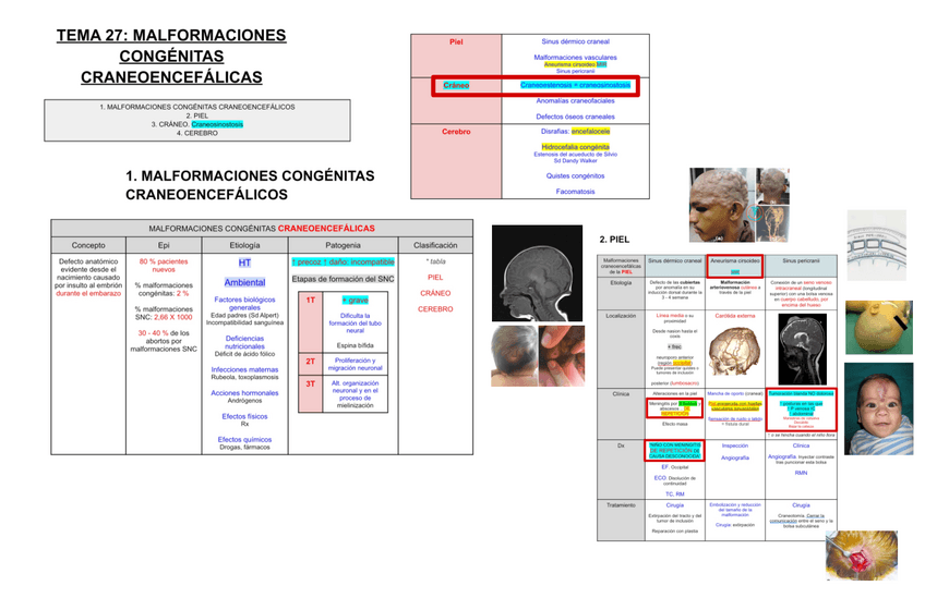 Miniatura del documento 27.-MALFORMACIONES-GENETICAS-CRANEOENCEFALICAS.pdf