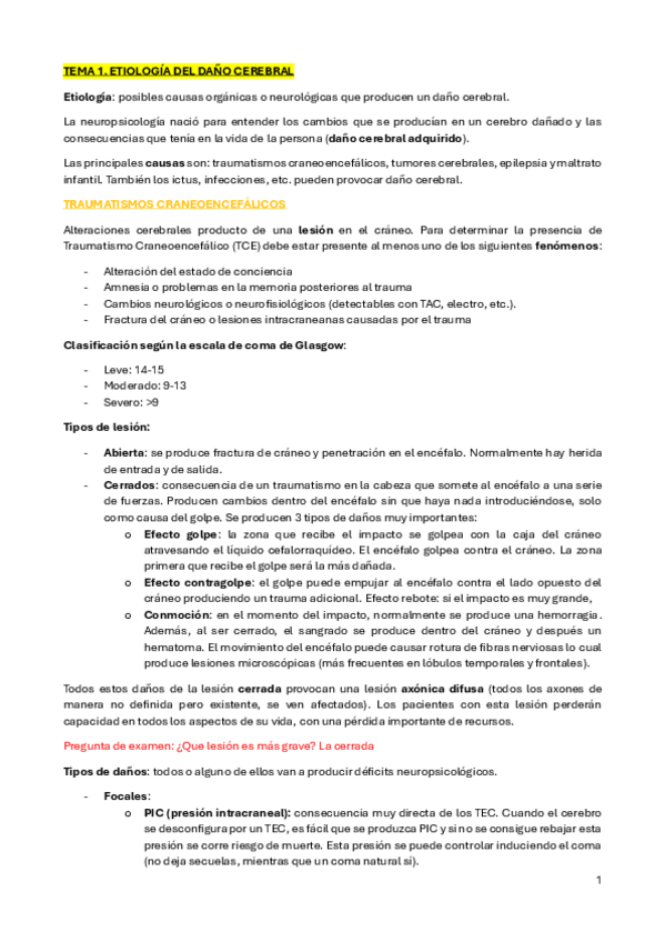 Miniatura del documento Tema-1.-Etiologia-del-dano-cerebral.pdf