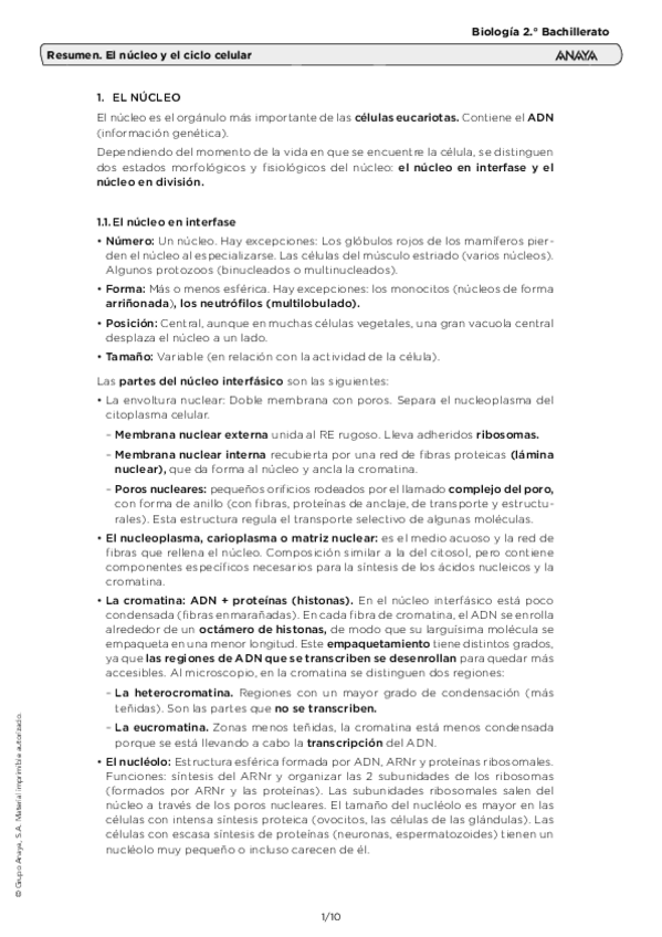 Miniatura del documento Tema-6-Nucleo-y-Ciclo-celular.pdf