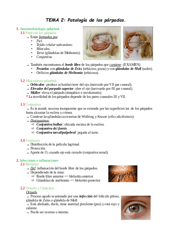 Miniatura del documento TEMA-2.pdf