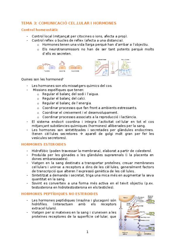 Miniatura del documento TEMA-3.docx