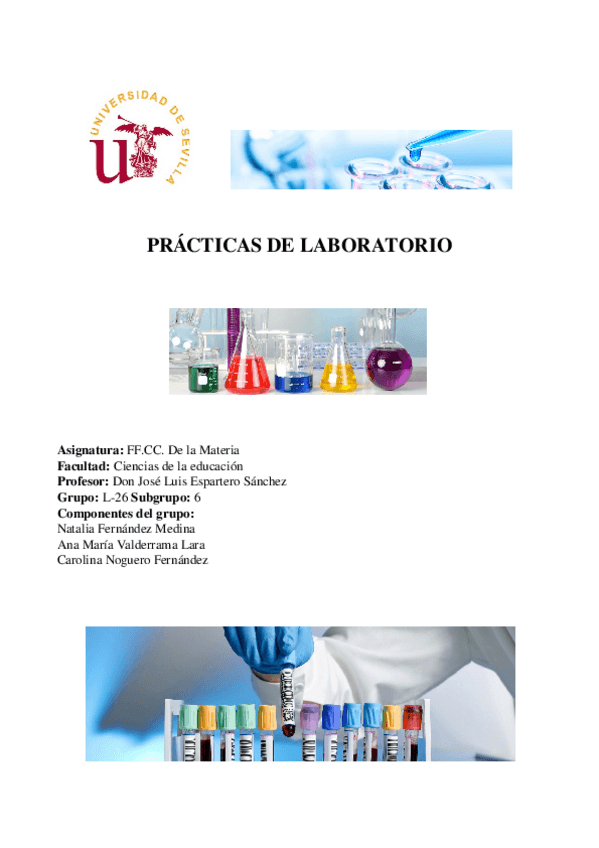 Miniatura del documento practicas laboratorio.odt