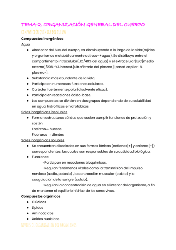 Miniatura del documento TEMA-2.ORGANIZACION-GENERAL-DEL-CUERPO.pdf