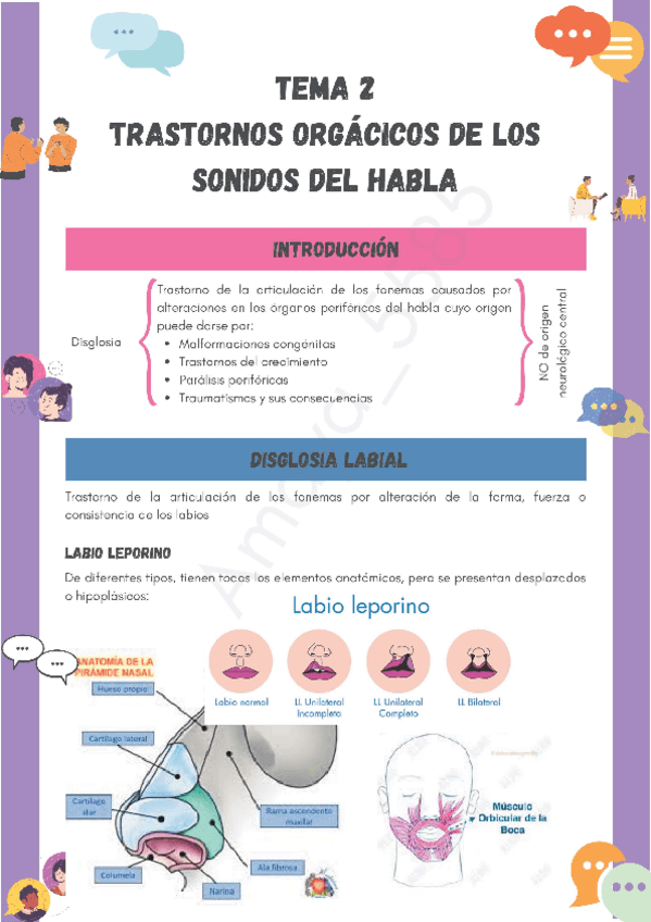 Miniatura del documento Esquema-Tema-2-Trastornos-Comunicacion.pdf
