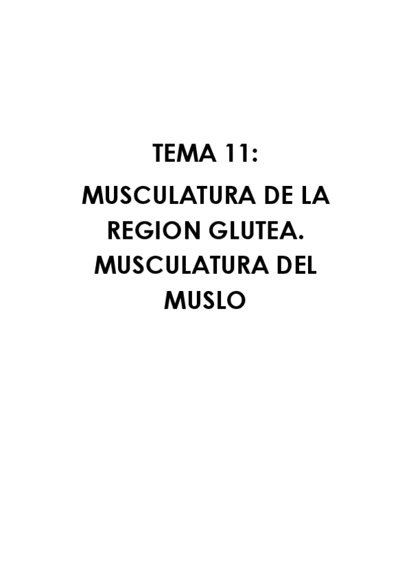 Miniatura del documento TEMA-11-ANATOMIA.pdf