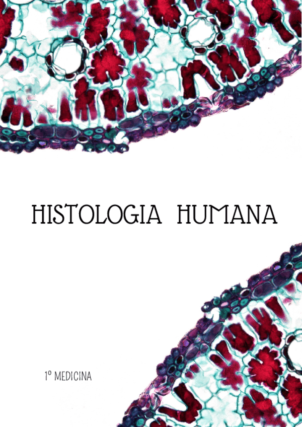 Miniatura del documento POrtada-Histologia.pdf