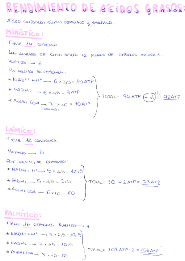 Miniatura del documento RENDIMIENTO-DE-ACIDOS-GRASOS.pdf