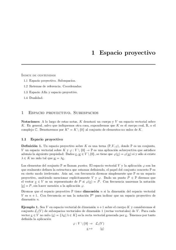 Miniatura del documento EspProyectivo1.pdf